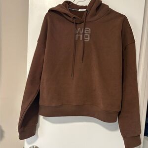 Alexander Wang Chocolate Brown Hoodie